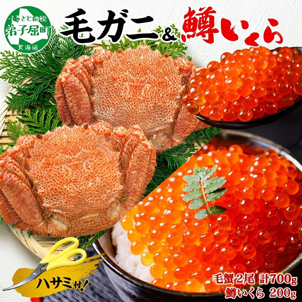 【ふるさと納税】3436. 毛蟹 2尾 計700g前後 鱒いくら醤油漬け 200g 専用ハサミ・食べ方ガイド付き 毛ガニ 毛がに 蟹 カニ 鱒いくら ますいくら 醤油漬け ボイル キャンプ飯 バーベキュー BBQ 送料無料 北海道 弟子屈町
