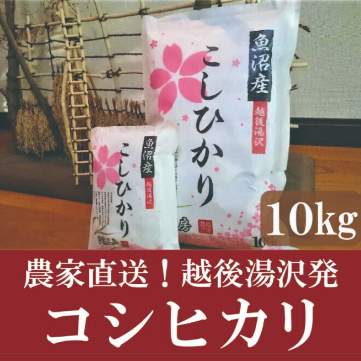 令和7年産 白米10kg 農家直送！越後湯沢発 さくらファーム 南魚沼最上流域【湯沢産コシヒカリ】