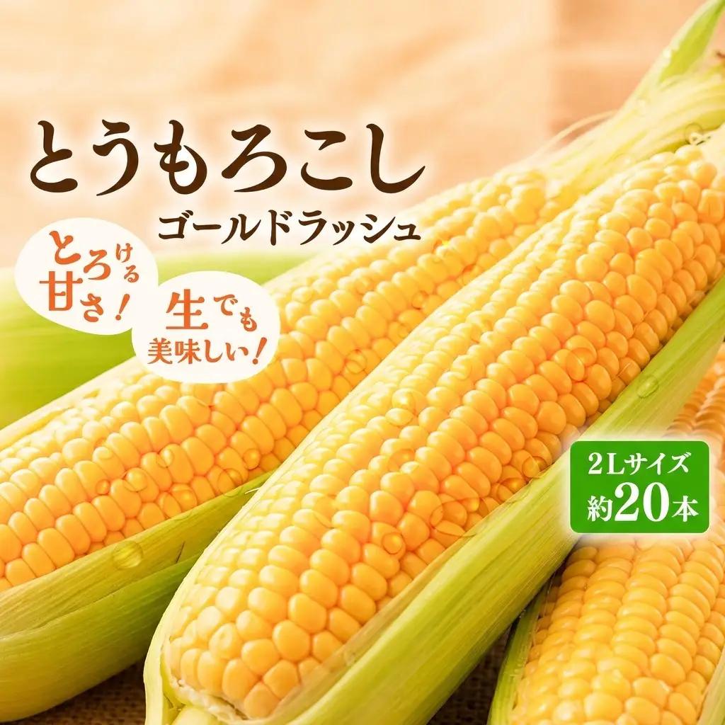 とうもろこし ゴールドラッシュ 富良野産 とうもろこし【約20本 2Lサイズ】