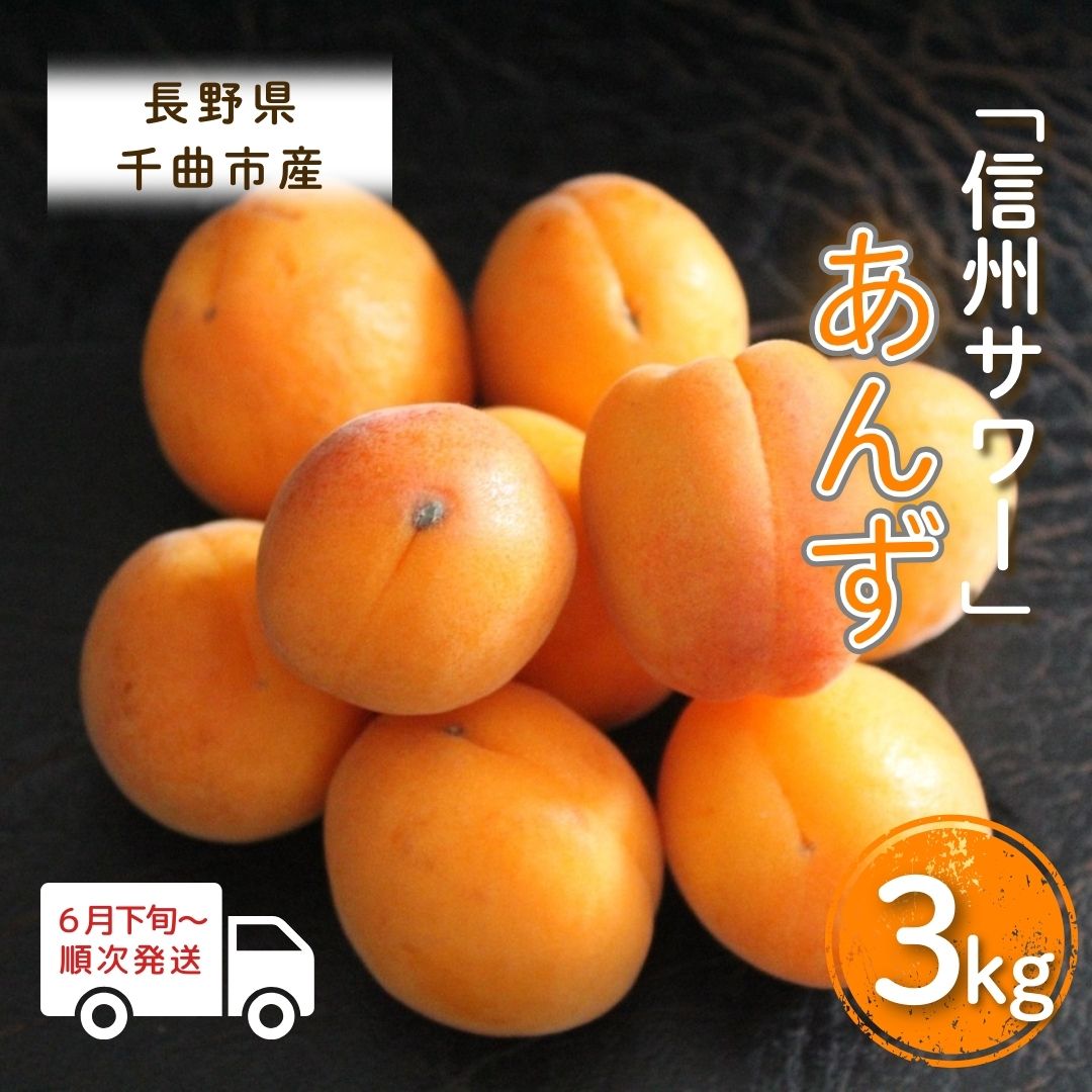 【ふるさと納税】【2026年先行予約】あんず 信州サワー(長野県オリジナル品種) 約 3kg 杏子 アプリコット 千曲市産 長野県 信州