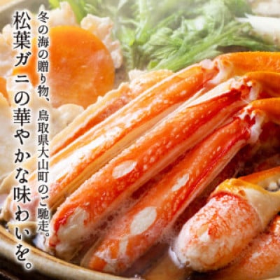 【11月中旬以降順次発送】ボイル松葉ガニ(400～500gを2枚)　OM-19-1【配送不可地域：離島・北海道・沖縄県・東北・信越、北陸】
