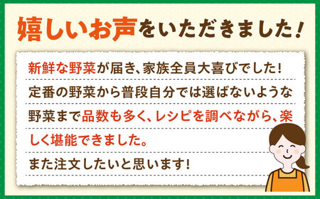 【全3回定期便】旬の野菜セット 10品 [JBO044] 野菜 やさい 旬 セット 詰め合わせ 30000 30000円 3万円 コダワリ野菜 こだわり野菜 おすすめ野菜 おススメ野菜 人気野菜 定番
