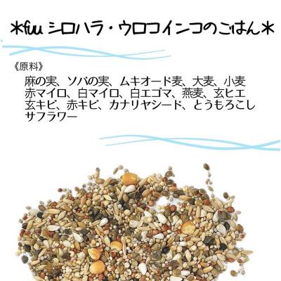 ふるさと納税 小牧市 【3ヶ月定期便】fuu シロハラインコ・ウロコインコのごはん(3kg)[145S58-T] |  | 02
