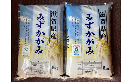 【令和7年産】近江米みずかがみ白米10kg（5kg×2袋）