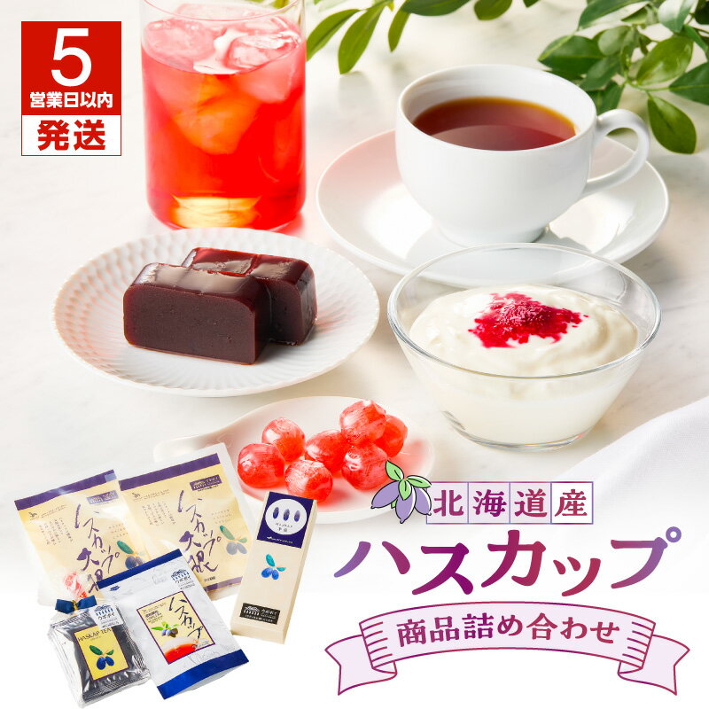 【ふるさと納税】【5営業日以内に発送】 ハスカップ商品 詰め合わせ 羊羹 ハスカップ ティーバッグ 濃縮顆粒 ロニセラ 大根 のど飴 ようかん フレーバーティー あめ セット お菓子 おやつ はすかっぷサービス 北海道 苫小牧市 おすすめ ランキング プレゼント ギフト
