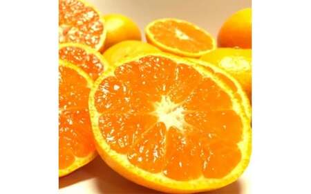 【訳あり・ご家庭用】完熟有田みかん  サイズ混合(2L～4L)　約2.7kg(2.5kg+200g)【2026年11月中旬～1月中旬頃に順次発送予定】【AA90140-ard054D】