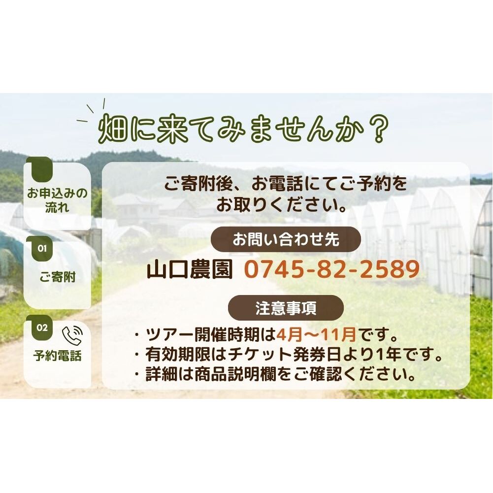 有機農業 圃場見学 ツアー お土産付 5名様迄／ 農業 農家 有機野菜 オーガニック 無農薬 SDGs 関西 体験 チケット カレー 山口農園 奈良県 宇陀市 ふるさと納税_イメージ5