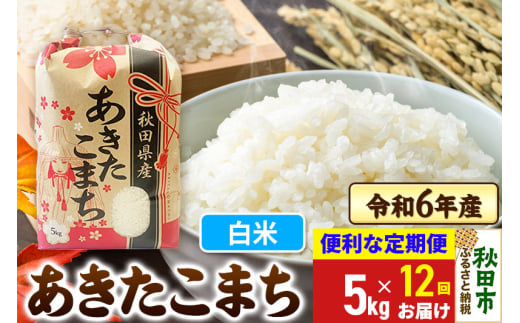 《定期便12ヶ月》 あきたこまち 5kg 令和6年産 新米 【白米】秋田県産