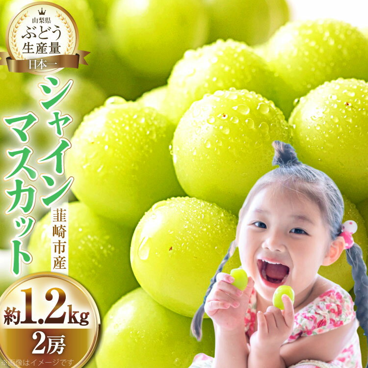 【ふるさと納税】【2025年発送】ぶどう シャインマスカット 約1.2kg (2房) 【冷蔵発送】 [梨北農業協同組合 山梨県 韮崎市 20742921] フルーツ 果物 くだもの ブドウ 葡萄 種なし 1.2キロ 甘い 期間限定 季節限定 山梨県産