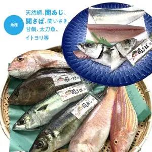 佐賀関産　朝獲れ鮮魚　おまかせ詰め合わせ　約2kg E04025