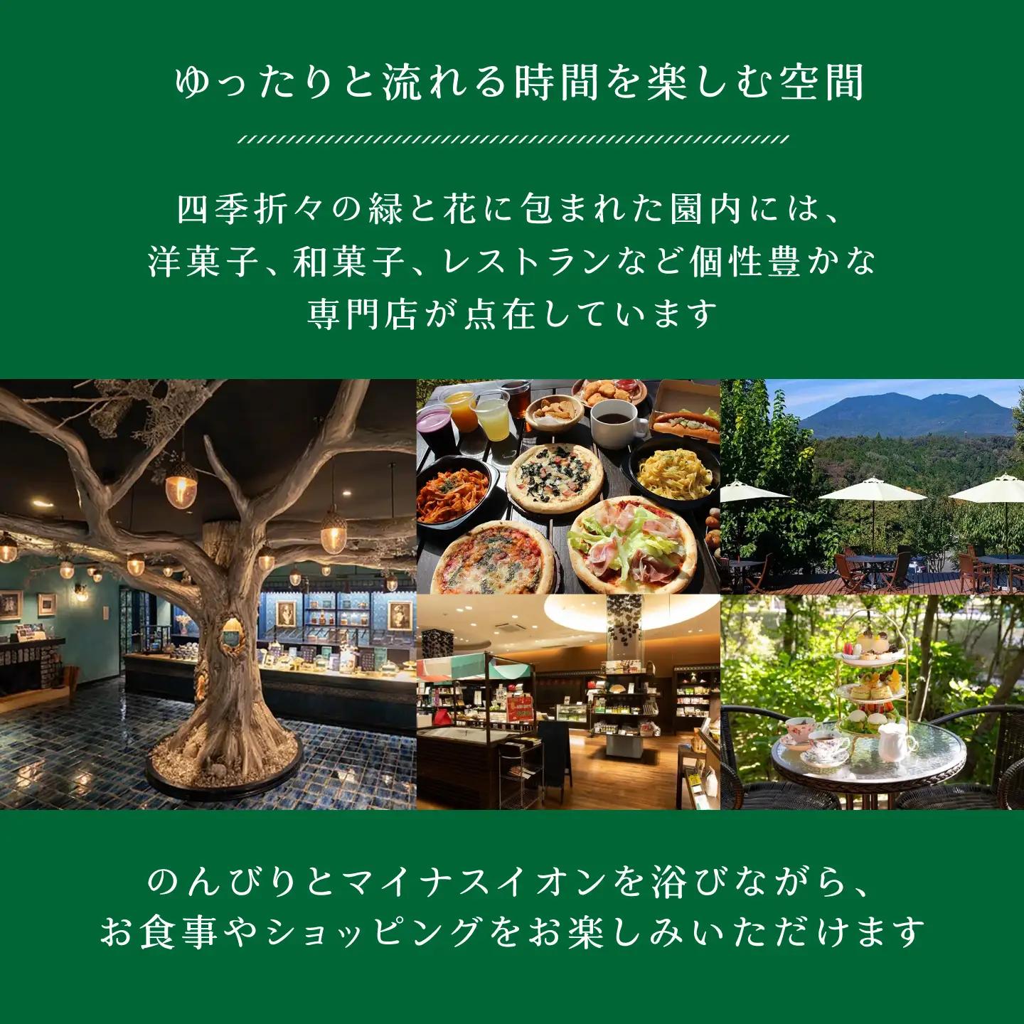フィナンシェ レモンさんのおうち 30個入り / 恵那市 / 銀の森[AUBG072] フィナンシェ