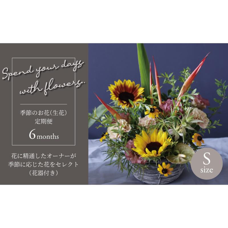 【ふるさと納税】【毎月お届け】季節のお花（生花・花器付き）の定期便・Sサイズ　6か月 〈 フラワーアレンジメント 花 定期便 記念日 誕生日 お祝い ギフト プレゼント インテリア 自宅用 全国発送 送料無料 冷蔵 そのまま飾れる かわいい ※お届け日指定不可 〉