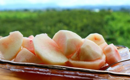 No.1202福島の桃　「川中島白桃」約3kg【2026年発送】