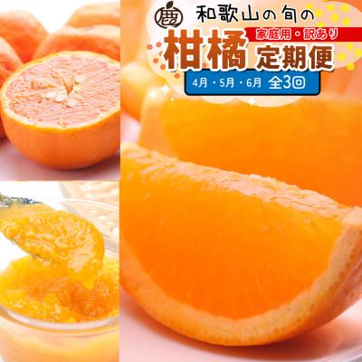 ふるさと納税 広川町 【発送月固定定期便】家庭用 柑橘定期便S(4〜6月)全3回