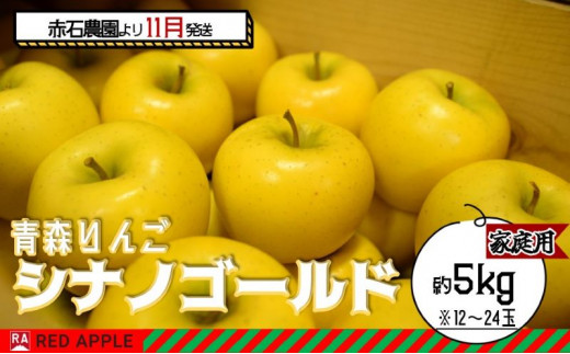 りんご 【 11月発送 】 家庭用 シナノゴールド 約 5kg 【 弘前市産 青森りんご 】 果物 フルーツ 食後 デザート 旬の果物 旬のフルーツ 果汁が多い 爽やかな風味