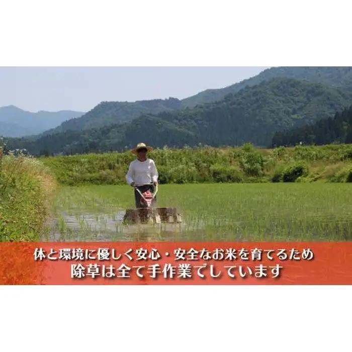 【令和7年】南魚沼産コシヒカリ　富三郎　農薬8割減の特別栽培米　肥沃な大地と八海山の雪解け水が育んだ厳選米　無洗米５ｋｇ　|  特別栽培米