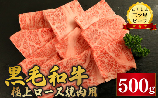 黒毛和牛 ロース 焼肉 500g 和牛 とくしま三つ星ビーフ 牛肉 ぎゅうにく 牛 肉 ビーフ BBQ アウトドア キャンプ おかず おつまみ 惣菜 弁当 日用 お祝い 誕生日 記念日 ギフト 贈答 プレゼント お取り寄せ グルメ 冷凍 小分け 送料無料 徳島県 阿波市 肉の藤原