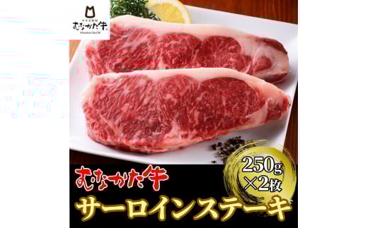 むなかた牛サーロインステーキ 500g（250g×2枚）【すすき牧場】_HA1263