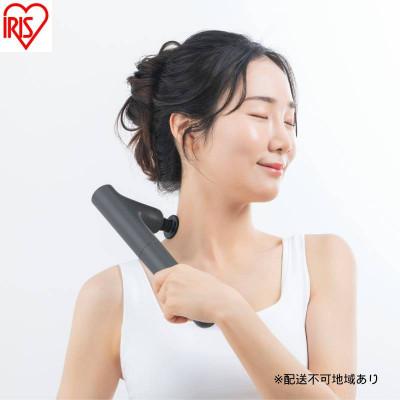 ふるさと納税 大河原町 ビューティーケアガンプラス FRT-M02-H ダークグレー ミコラ　アイリス[53753386]