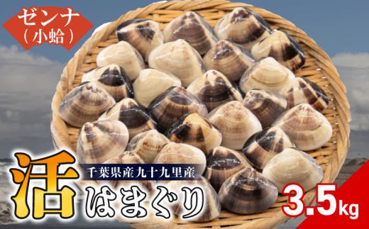 天然 活はまぐりゼンナ 小粒 約3.5kg 活 はまぐり 蛤 砂抜き 冷蔵 九十九里産 魚介 魚貝 魚介類 海鮮 貝 貝類 出汁 だし 味噌汁 酒蒸し グラタン 九十九里浜 お祝い 祝い おせち 贅沢 人気 おすすめ 贈答 ギフト お取り寄せ  株式会社丸六 旭市 千葉県 mrk009