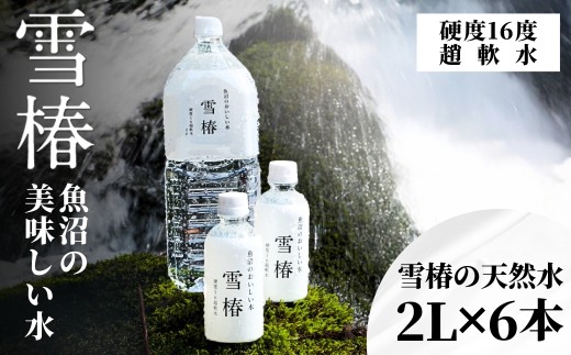 水 2L×6本 雪椿の天然水 津南 国産 | 天然水 みず 飲料 飲料水 ミネラルウォーター 軟水 備蓄 備蓄用 備蓄水 防災 防災用 アウトドア キャンプ プレゼント ギフト 新潟県 津南町