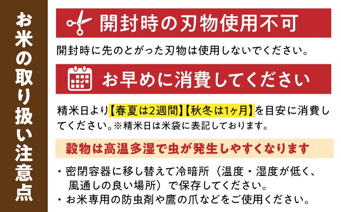 特A獲得！さがびより 無洗米 6kg（3kg×2袋） | ご飯 ごはん 米 お米