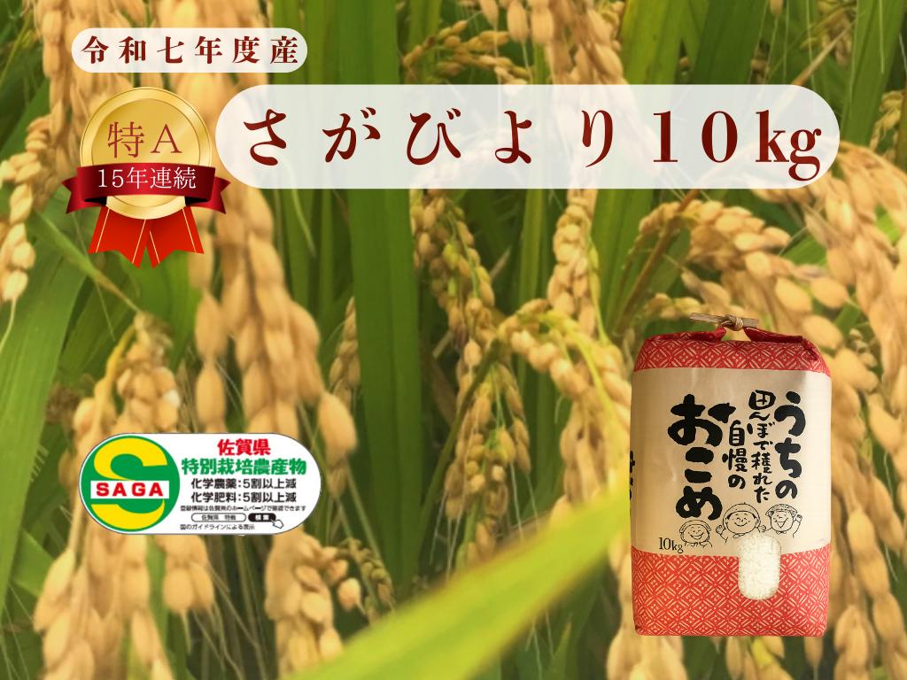 
            さがびより お米１０kg
          