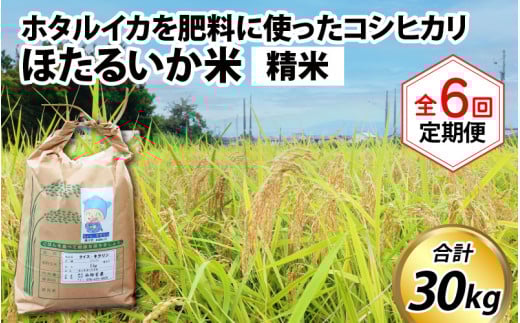 ほたるいか米（精米５kg）×6回 計30kg【6ヶ月定期便】【訳あり 米 コシヒカリ こしひかり ほたるいか ホタルイカ お米 ブランド米 富山 滑川】