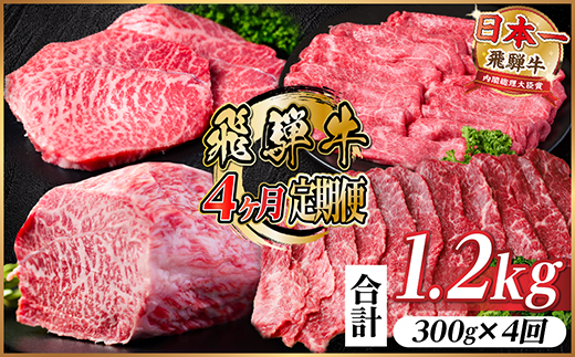 【毎月定期便】飛騨牛 赤身定期便 計1.2kg 焼肉 BBQ すき焼き しゃぶしゃぶ ブロック全4回【配送不可地域：離島】