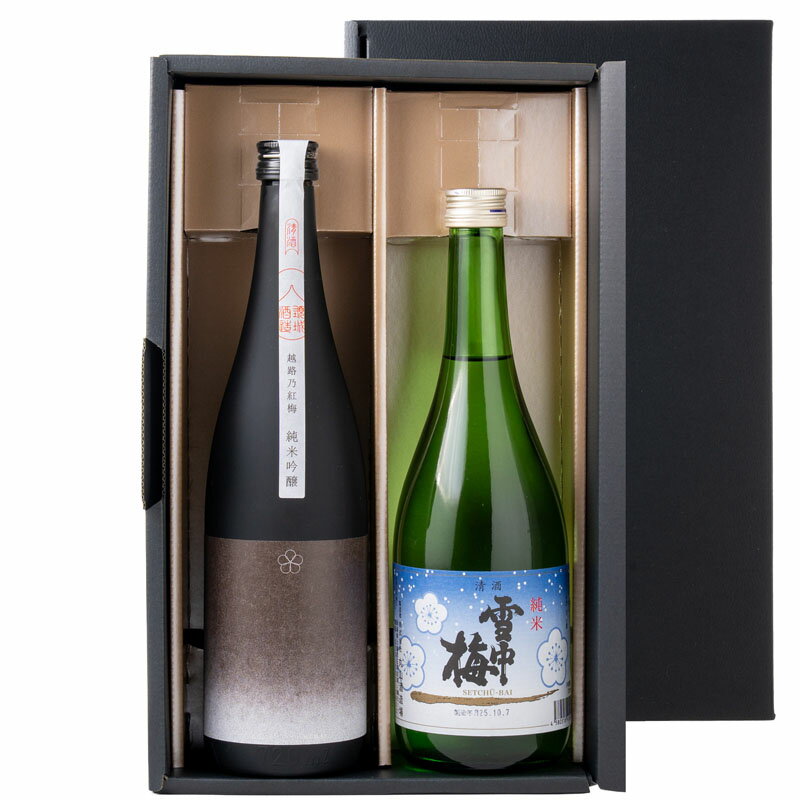 【ふるさと納税】日本酒 新潟上越 飲み比べセット 7202-JB 化粧箱入 酒 お酒 贈答 プレゼント 贈り物 のし対応 新潟 新潟県産 にいがた 上越 上越産