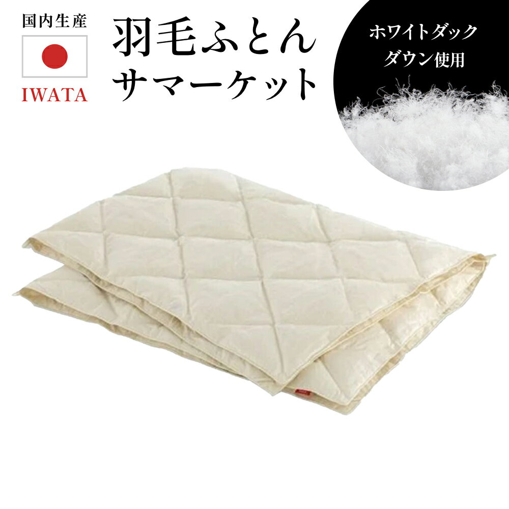 【ふるさと納税】IWATA 羽毛ふとん サマーケット　羽毛布団　毛布　タオルケット　AA005