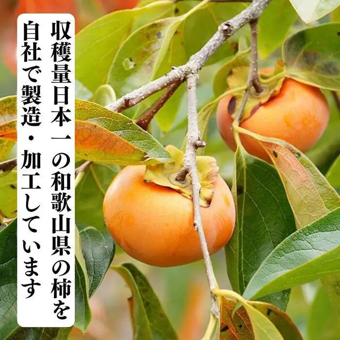 ドライフルーツ 柿チップ 400g ( 40g × 10袋 ) 和歌山県産 果物使用 自社製造 【みかんの会】