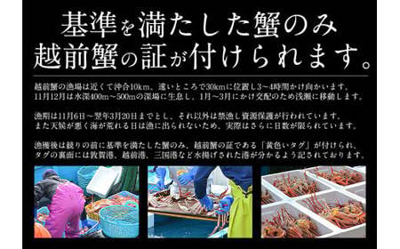 [053-b004] まるごと使用！ズワイ蟹甲羅盛り × 3個 セット 【冷凍】【しおそう ずわい蟹 ずわいガニ ズワイガニ 蟹 カニ かに 】