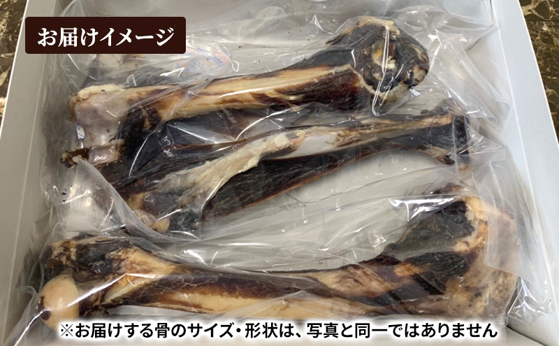 ペットのおやつ【エゾシカボーン】※中型～大型犬向き 北海道 南富良野町 エゾシカ 鹿 ペット 餌 おやつ 中型犬 大型犬 犬