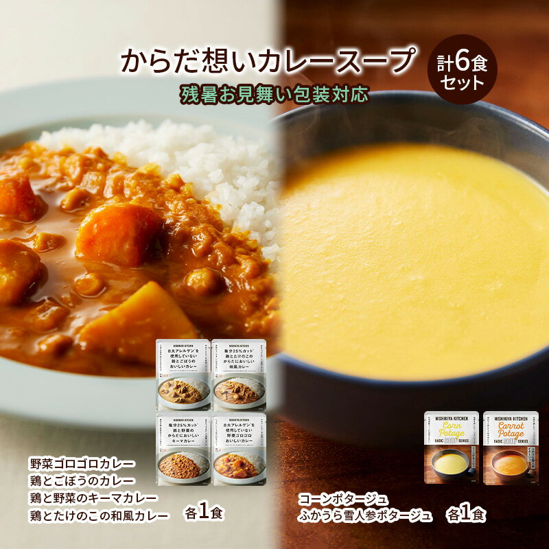 【ふるさと納税】【残暑見舞い】NISHIKIYA KITCHEN からだ想いカレースープ6食セット インスタント 詰め合わせ レンジ 調理 レトルト食品 スープ 惣菜 保存食 災害 防災 備蓄 長期保存 常温 常温保存　お届け：2025年8月18日～2025年8月29日