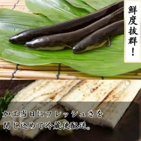 【焼きたてを即日配送】浜名湖うなぎ白焼き140g×2尾(冷蔵便)_魚介・海産物 うなぎ  ウナギ 鰻_【配送不可地域：離島】【1497523】