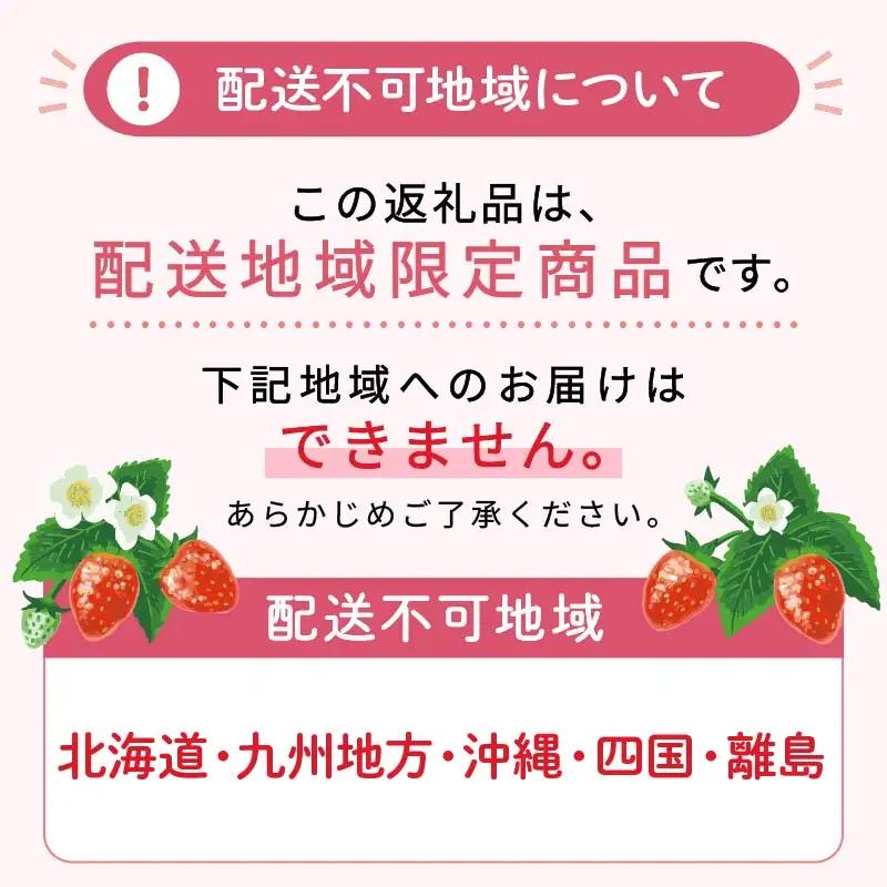 【2027年3月発送】いちご 完熟 2パック なごみジャム 6個 セット 紅ほっぺ