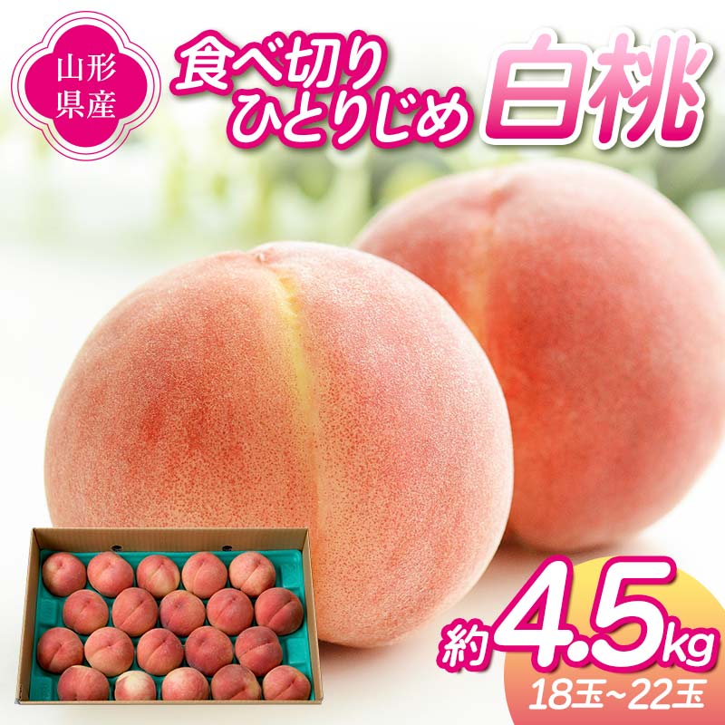 【ふるさと納税】 《先行予約 2026年度発送》食べ切りひとりじめ 白桃 4.5kg（18～22玉） もも モモ 桃 デザート フルーツ 果物 くだもの 果実 食品 山形県 FSY-2469