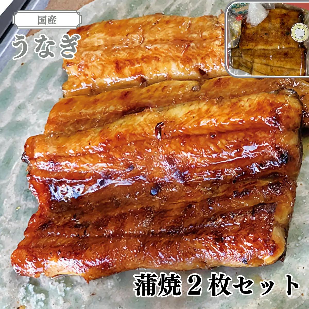 国産うなぎ（蒲焼）2枚　セット　AT002