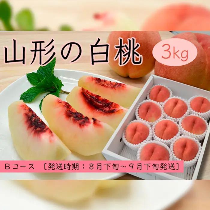 山形の白桃3kg(5～13玉)Bコース[柔らかくなる品種・果肉やや硬め] 【令和8年産先行予約】FS25-632 くだもの 果物 フルーツ 山形 山形県 山形市 2026年産