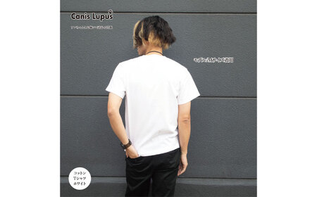 コットンTシャツ ホワイト （S-XLサイズ）/ Tシャツ 半袖 ユニセックス シンプル / 佐賀県 / Canis Lupus[41AAAN002]