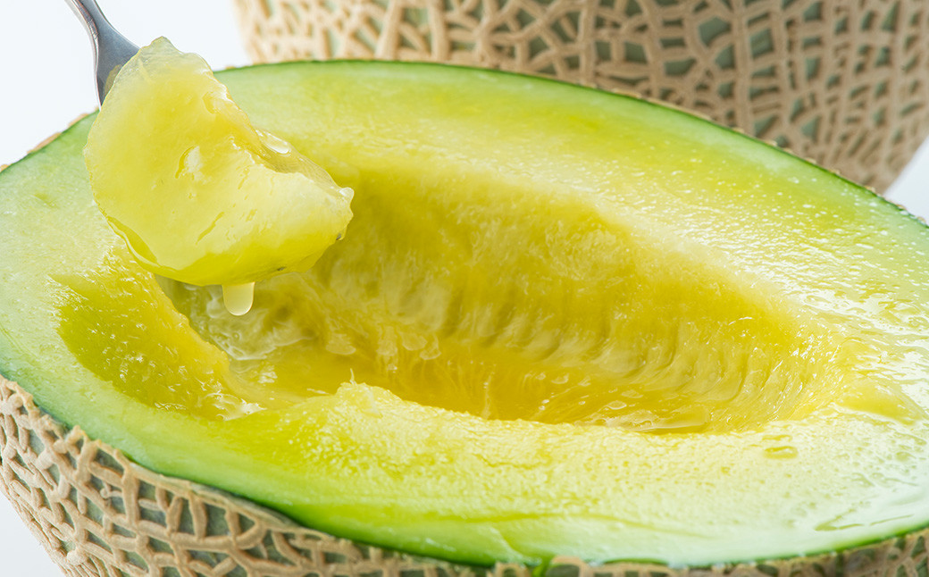 熊本県産 アールスメロン 1玉