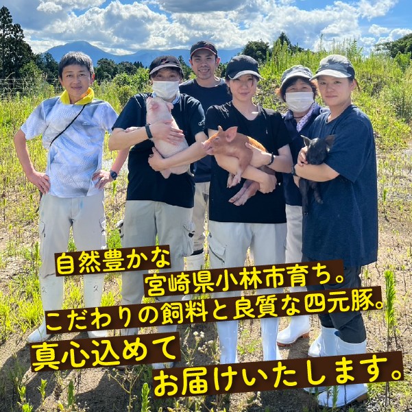 Ａ４等級以上の宮崎牛！上質な赤身をお楽しみください。