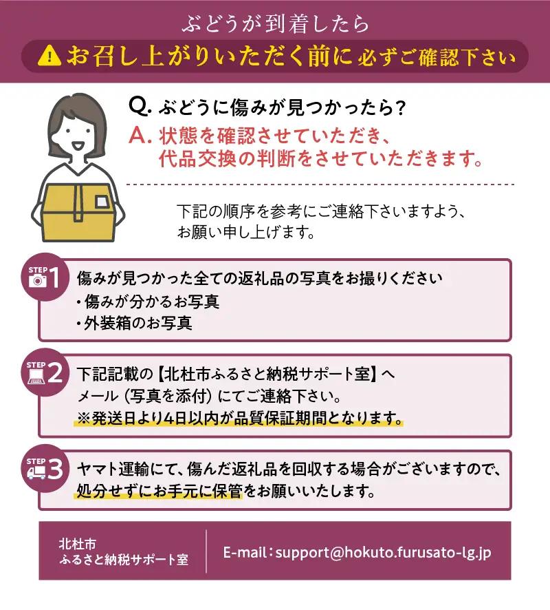 【2026年先行予約】八ケ岳南麓産「富士の輝」 [h262]