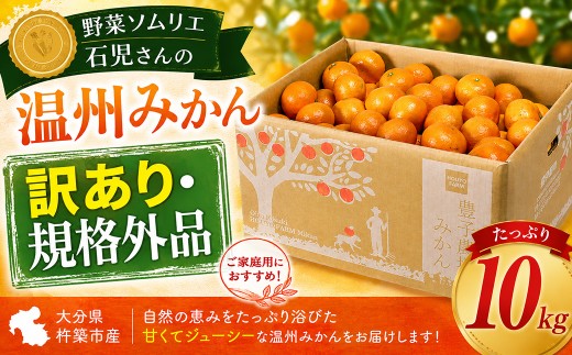 【訳あり・規格外品】野菜ソムリエ石児さんの「温州みかん 10kg」／ ミカン みかん 蜜柑 柑橘 10kg 10キロ 柑橘類 訳あり 甘い 温州みかん フルーツ 先行予約 11月 12月 1月 11月発送 12月発送 1月発送  ＜103-037＞