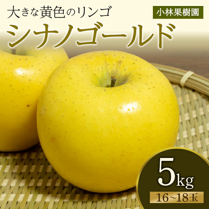 【ふるさと納税】 【小林果樹園】黄色いりんご シナノゴールド 5kg（16～18玉） F20C-594