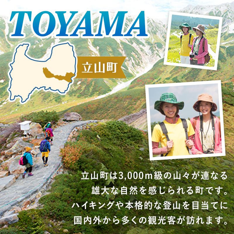 リピーター多数★ 宿泊券 山小屋含む宿泊施設 3,000円分富山 とやま 立山 たてやま 登山 山登り 山歩き トレッキング アルペンルート 商品券 チケット 宿 宿泊 温泉 旅行 旅 観光 3000