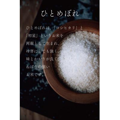 ふるさと納税 喜多方市 令和6年産 会津喜多方産四種のお米食べ比べセット5kg×4袋 |  | 02