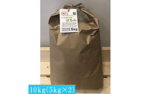 志村屋米穀店 令和7年産小田原市産　はるみ　10kg（5kgｘ2） 142069_DE002