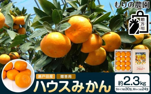 瀬戸田産ハウスみかん（贈答用）約2.3キロ 化粧箱 贈り物 ギフトドルチェみかん フルーツ 柑橘 果物 産直